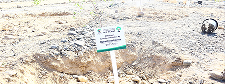 As part of the partnership with the Emirates Environment Group (EEG) Dubai Investments planted 200 saplings at Al Marmoum Protected Area – Dubai and at Special Bee Reserve – Al Minae- South of Ras Al Khaimah 